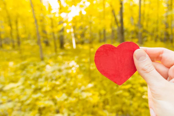 Kesme kalp ile sonbahar yaprak — Stok fotoğraf