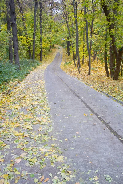 Podzimní park alej — Stock fotografie