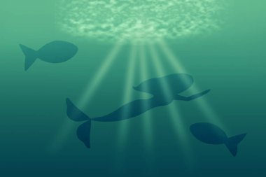 denizkızı sualtı yüzmek