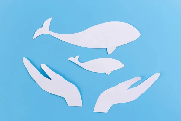 Save Whales concept afbeelding — Stockfoto