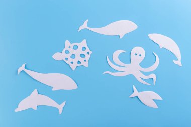 okyanusta farklı hayvanlar