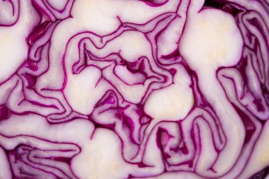 Çiğ Rendelenmiş Mor Lahana