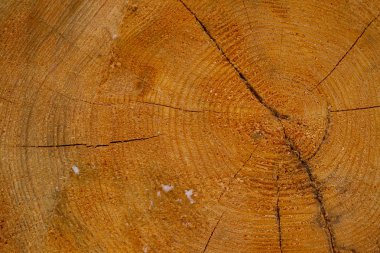 Ahşap arka plan kesmek