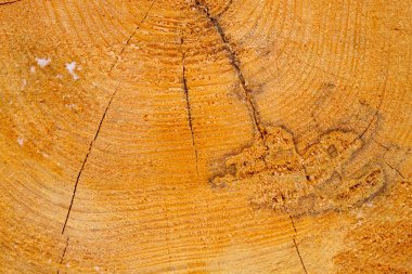 Ahşap arka plan kesmek