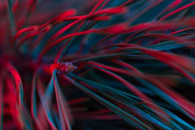 Işık ile Noel ağacının Closeup