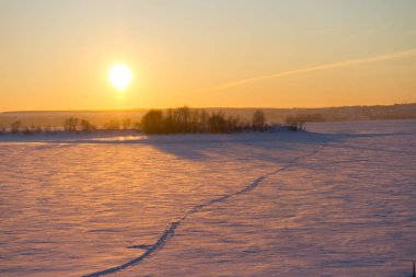 winter sunset over field