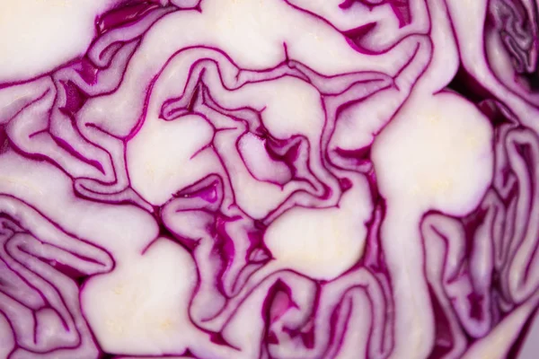 Raw Shredded Purple Cabbage — Stock Photo, Image
