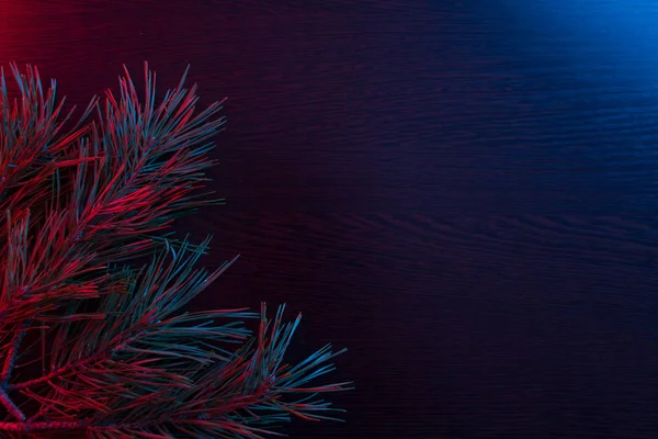 Κοντινό πλάνο χριστουγεννιάτικου δέντρου με φως — Φωτογραφία Αρχείου