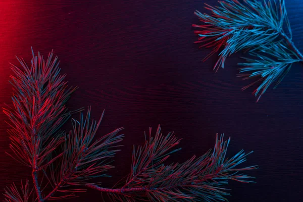 Крупный план рождественской елки со светом — стоковое фото