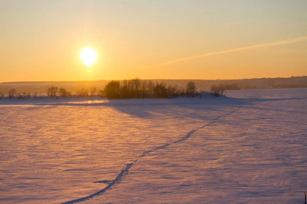 Coucher de soleil hivernal sur le champ — Photo