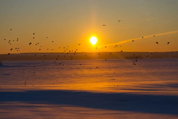Zimní západ slunce nad polem — Stock fotografie