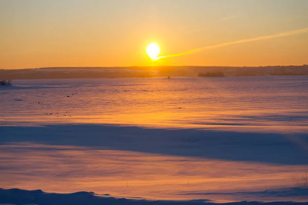 Coucher de soleil hivernal sur le champ — Photo