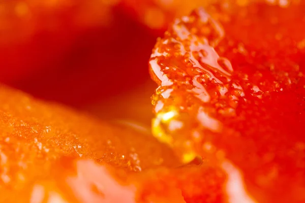 Самодельные фрукты цитрусовые — стоковое фото