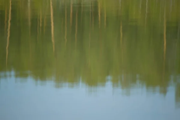 Jezioro w lesie — Zdjęcie stockowe
