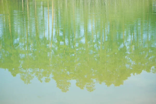 Lago na floresta — Fotografia de Stock