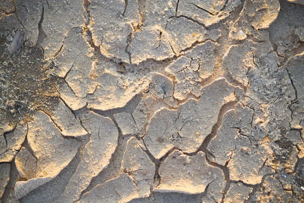 Close-up van gebarsten grond — Stockfoto