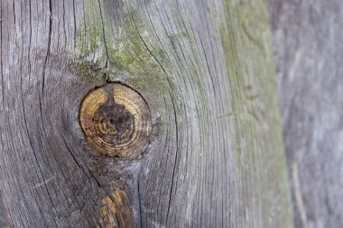 Eski Ahşap Arkaplan