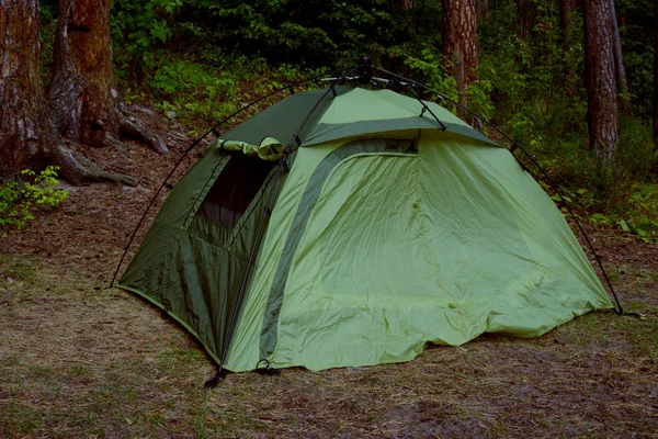 Зеленая палатка в сосновом лесу — стоковое фото