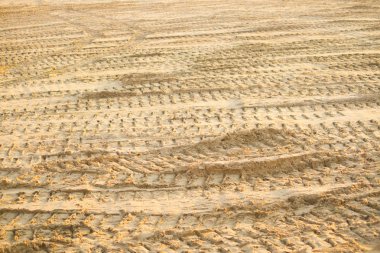 Kumda araba izleri var.