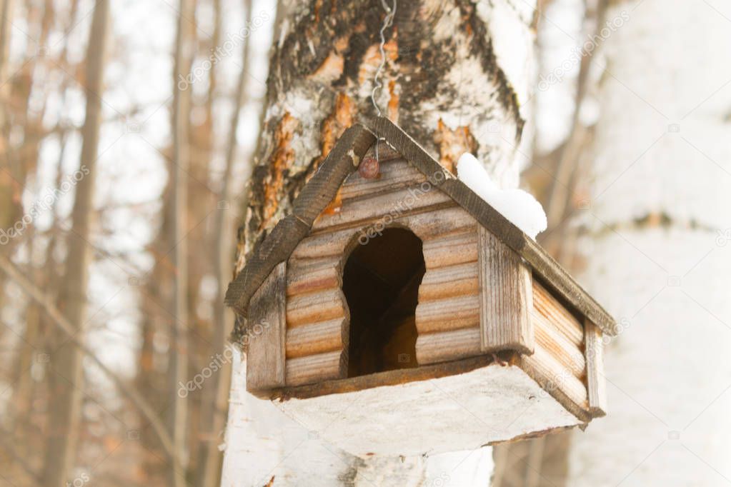 Bird house in spring