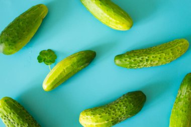 Salatalık ile düz yatıyordu kompozisyon