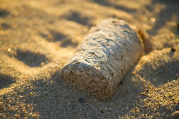 Bouchon de vin sur le sable — Photo