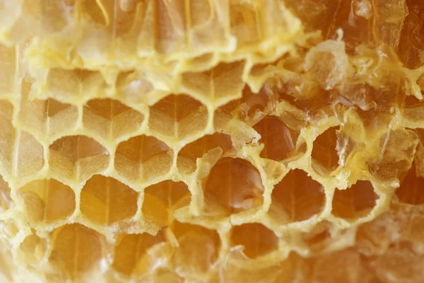 Gros plan des rayons de miel Photo De Stock