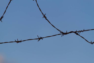 dikenli tel çit üzerinde