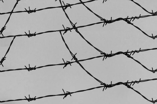 Barbed wire on fence — Stock Photo, Image