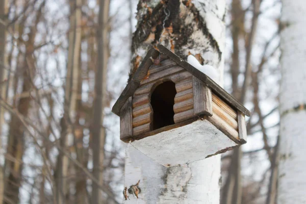 Bird House in de lente — Stockfoto
