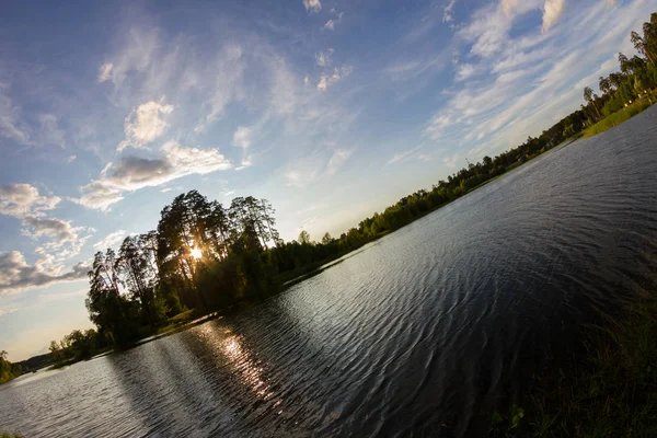 See im Wald — Stockfoto