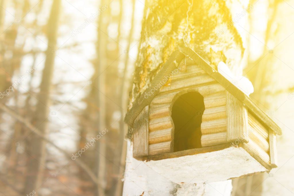 Bird house in spring