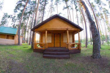 Çam ağacı ormanda ahşap ev