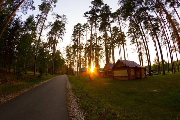 Wooden house in forest