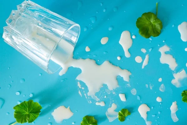 Mavi arka planda süt sıçramaları — Stok fotoğraf