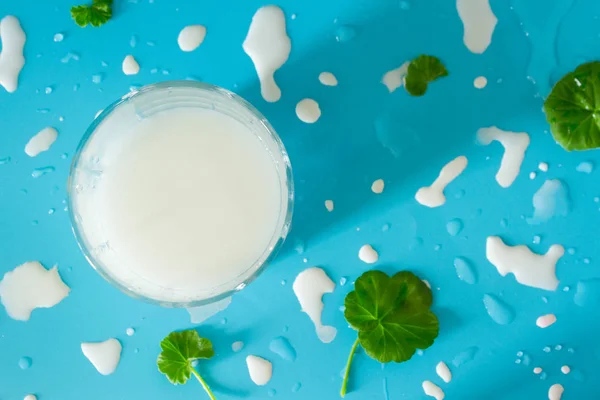 Mavi arka planda süt sıçramaları — Stok fotoğraf