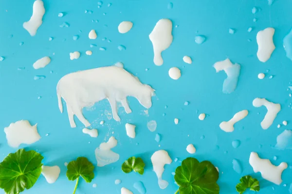 Milk splashes on blue background