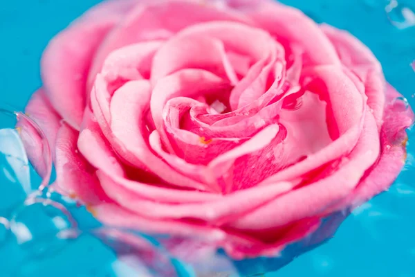 Rosa rosa en el agua —  Fotos de Stock