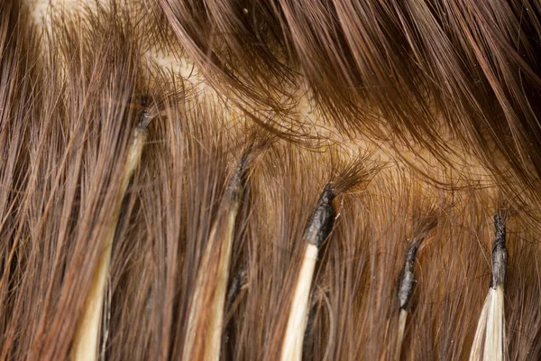 Hair extension close up