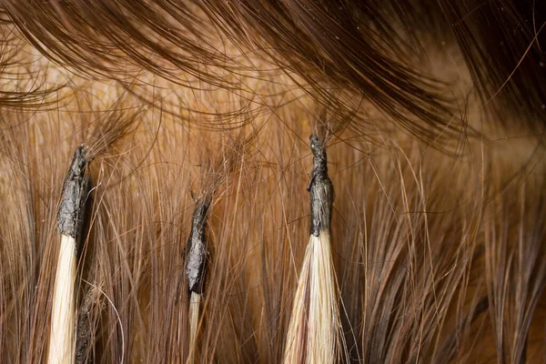 Przedłużenie włosów z bliska — Zdjęcie stockowe