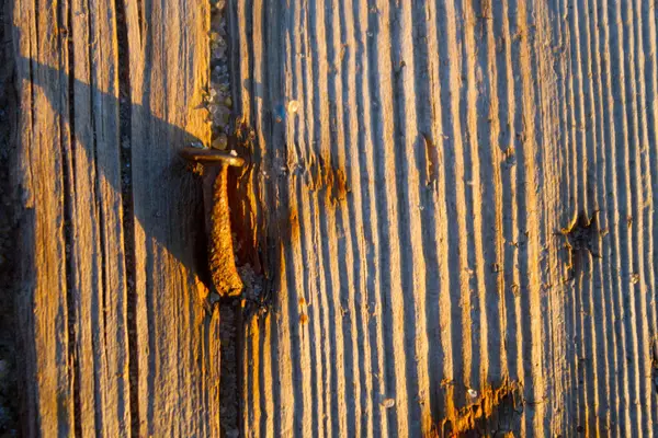 Ongle rouillé en planche de bois — Photo