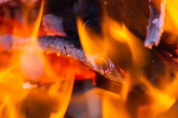 Close Fire Natural Fire — Stock Photo, Image