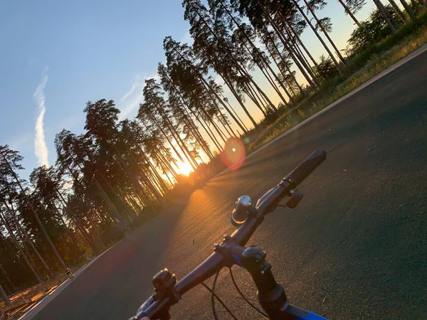 Bicicleta Lado Natureza Desporto — Fotografia de Stock