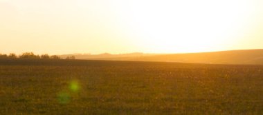 Güzel sarı gün batımı tarlanın üzerinde
