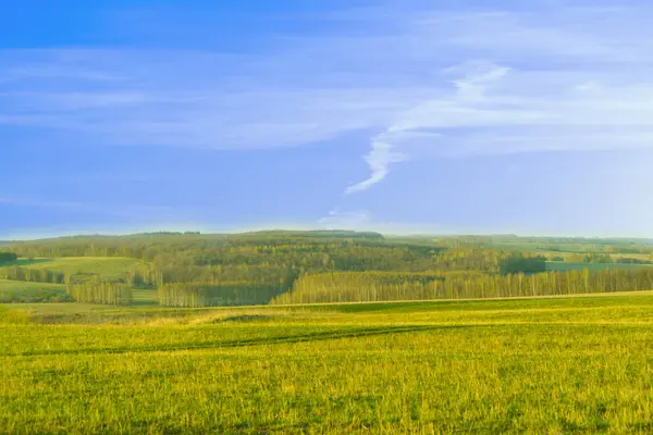 Grönt Fält Och Blå Himmel Kopiera Utrymme — Stockfoto