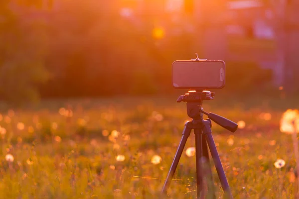 Smartphone Trípode Concepto Fotografía —  Fotos de Stock