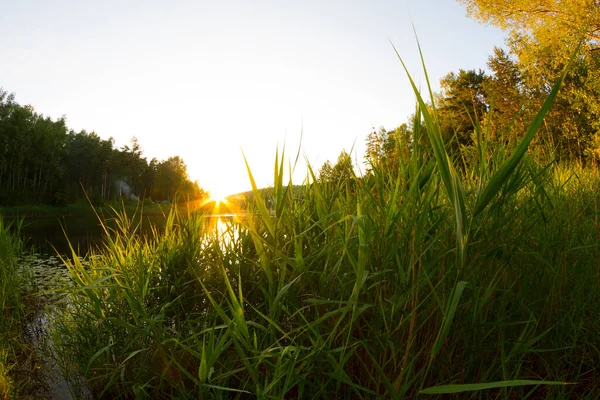 Perfekter Morgen Zum Angeln Sonnenaufgang Über Dem Fluss — Stockfoto