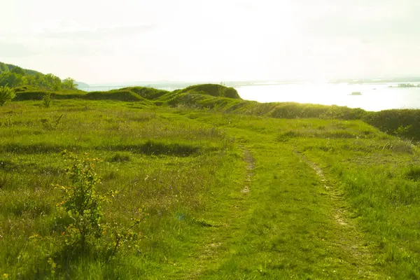 Car Track Green Field Springtime — Stock Photo, Image