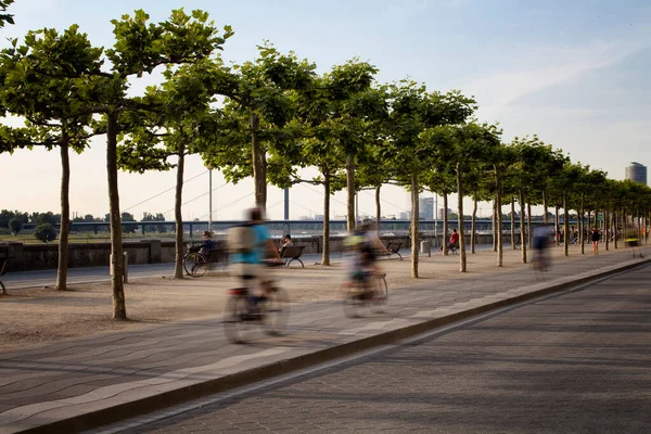 Люди Ездят Велосипеде Размытом Движении Реке Рейн Рейн Линия Дерева — стоковое фото
