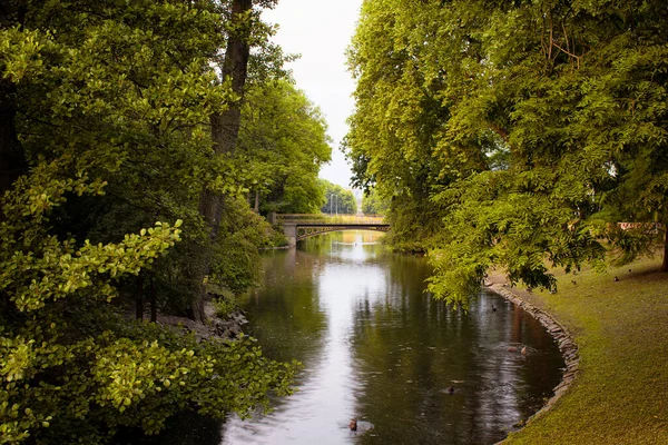 Utsikt Över Floden Och Träden Vid Hofgarten Park Lummig Grönområde — Stockfoto